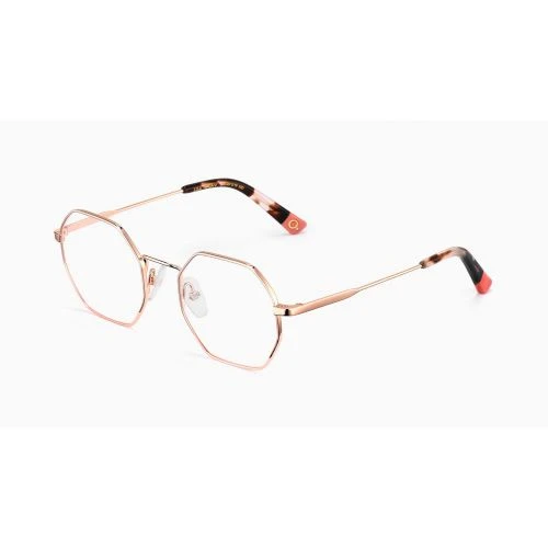 Etnia Barcelona Lisa PInk Gold Havana 1 Etnia Barcelona Lisa PInk Gold Havana