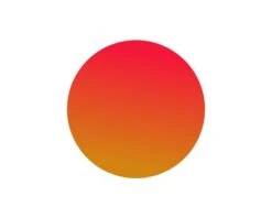 Verres Cébé S'track Large 1500 Grey AF Orange FM