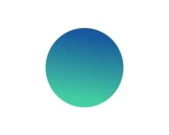 Verres Cébé Wild 1500 Grey Flash Blue